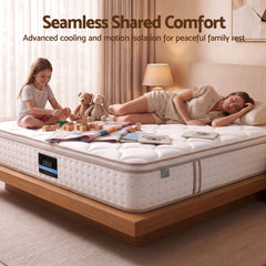 Giselle 30cm Queen Spring Mattress Tencel Cover 5-Zone Firm Back Support