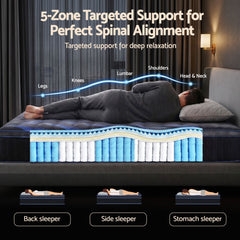 Giselle Pocket Spring Memory Foam Hybrid Euro Top Mattress – King Single