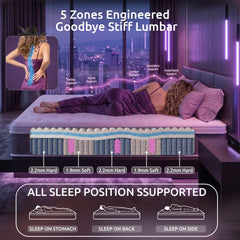 Levitex King Mattress Lumbar Support, 5-Zone Pocket Springs & 2-Row Hardened Edges for Deep Sleep, Cooling Gel Memory & Egg-Crate Foam
