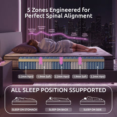 Levitex Single Mattress 2 Rows Edge Support for Deep Sleep 5-Zone Ergonomic Pocket Spring Breathable Corrugated Sponge Medium Firm 30CM