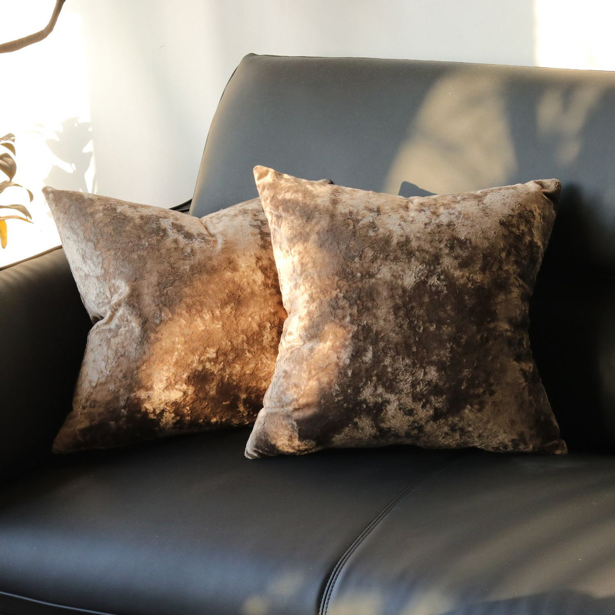 Ice Velvet Pillow Cover Polyester Solid Color 30x50cm Light Brown 50*50cm without pillow core