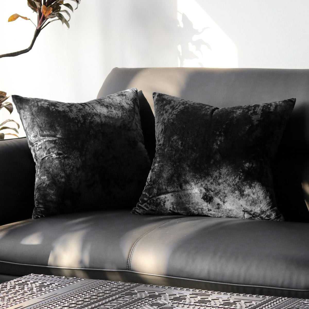 Ice Velvet Pillow Cover Polyester Solid Color 30x50cm Black 60*60cm without pillow core