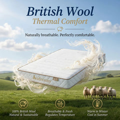 Audreamy Pocket Spring Latex Hybrid Wool Mattress – Double