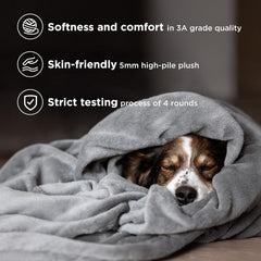 Grey Ultra-Soft Coral Fleece Blanket – Lightweight Summer Throw for Office Naps, Air Conditioning, and Cozy Home Use(120*200c