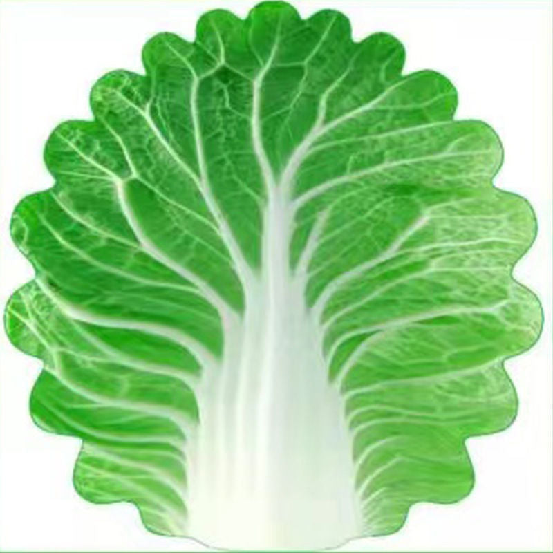 Cute Cabbage-Shaped Fleece Blanket – Fun and Cozy Throw for Naps, Office Use, Air Conditioning, or Baby Swaddling (Green & Wh