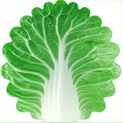 Cute Cabbage-Shaped Fleece Blanket – Fun and Cozy Throw for Naps, Office Use, Air Conditioning, or Baby Swaddling (Green & Wh